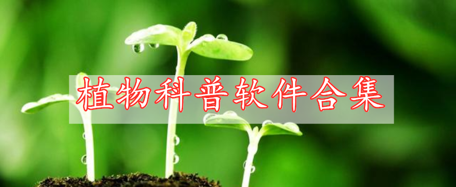 植物科普軟件合集