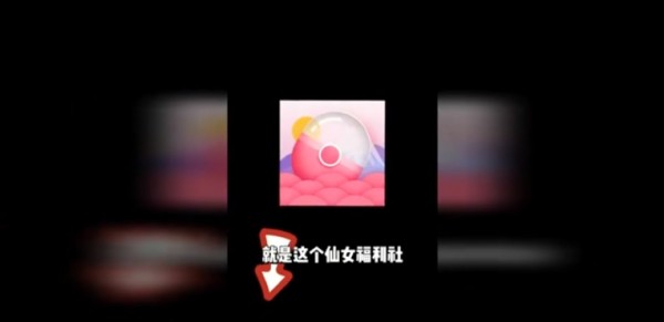 仙女福利社app正版1