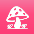 蘑菇赏2021新版
