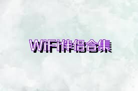 WiFi伴侶合集