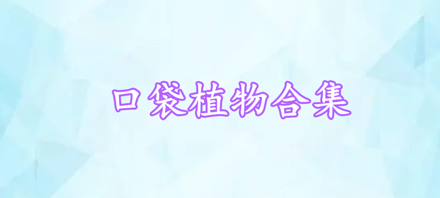 口袋植物合集