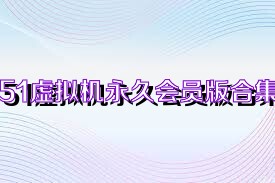 51虛擬機(jī)永久會員版合集