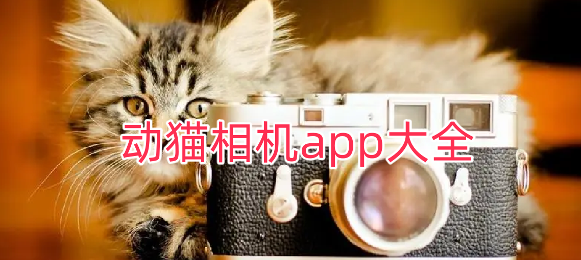 动猫相机app大全