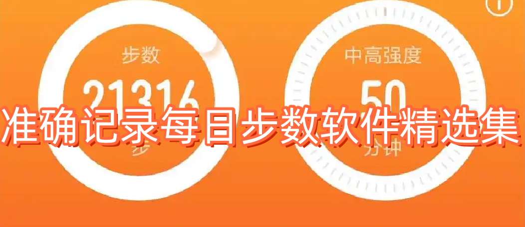 準確記錄每日步數軟件精選集