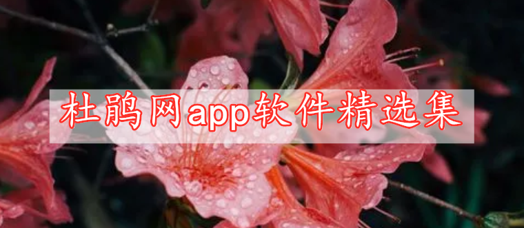 杜鵑網(wǎng)app軟件精選集