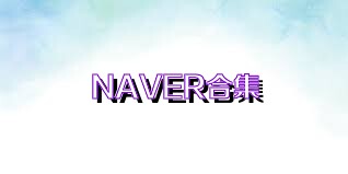 NAVER合集