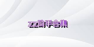 zz助手合集