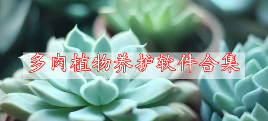 多肉植物養(yǎng)護(hù)軟件合集