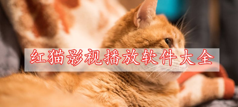 红猫影视播放软件大全