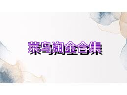 菜鳥淘金合集