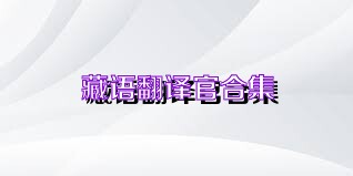 藏語(yǔ)翻譯官合集