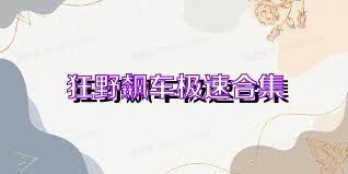 狂野飆車極速合集