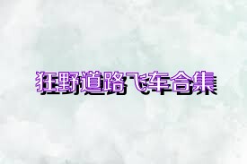 狂野道路飛車合集
