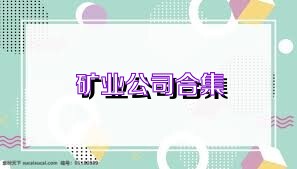 礦業(yè)公司合集