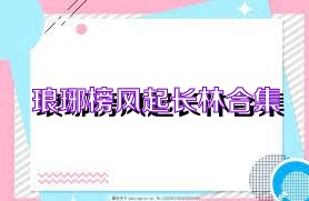 瑯琊榜風(fēng)起長林合集