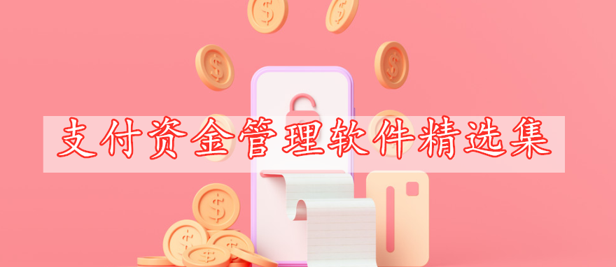 支付资金管理软件精选集