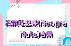 松鼠吃堅果(NoograNuts)合集