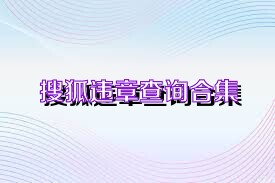 搜狐違章查詢合集