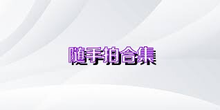 隨手拍合集