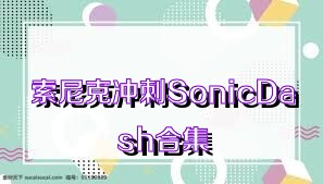 索尼克沖刺SonicDash合集