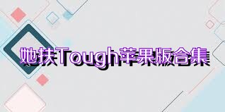 她扶Tough蘋果版合集