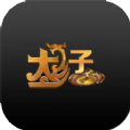 太子專(zhuān)業(yè)版