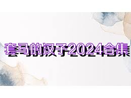 套馬的漢子2024合集