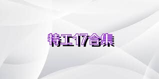 特工17合集