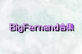 BigFernand合集