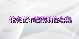 花光比爾蓋茨的錢合集
