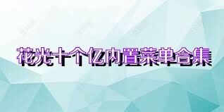 花光十個億內(nèi)置菜單合集