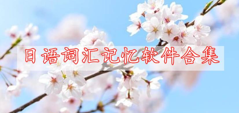 日語(yǔ)詞匯記憶軟件合集