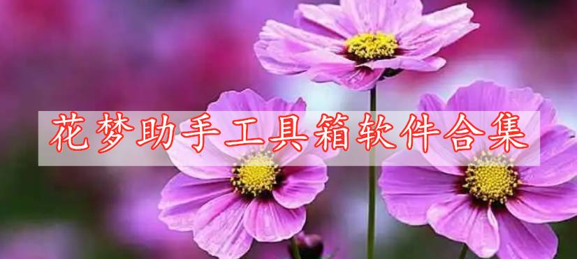 花夢(mèng)助手工具箱軟件合集