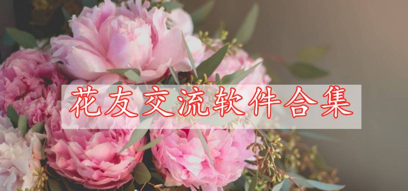 花友交流软件合集