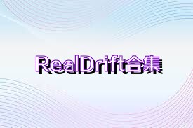 RealDrift合集