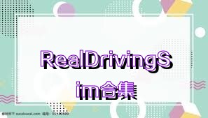 RealDrivingSim合集