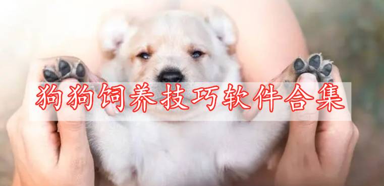 狗狗飼養(yǎng)技巧軟件合集