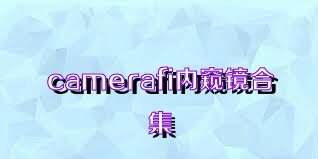 camerafi內(nèi)窺鏡合集