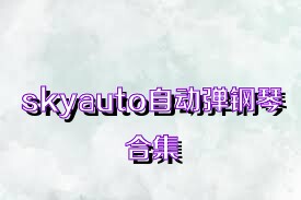 skyauto自動彈鋼琴合集