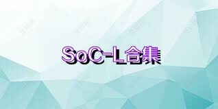 SoC-L合集