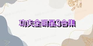 功夫全明星3合集