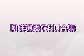 阿咩課表CSU合集