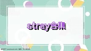 stray合集