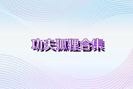 功夫狐貍合集