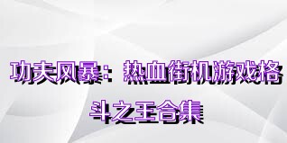 功夫風(fēng)暴：熱血街機(jī)游戲格斗之王合集