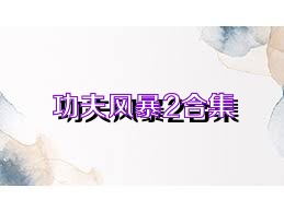 功夫風(fēng)暴2合集