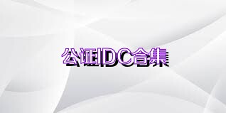 公證IDC合集