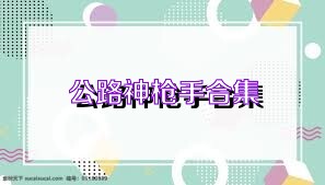 公路神槍手合集