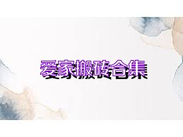 愛(ài)家搬磚合集