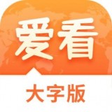 爱看大字版app